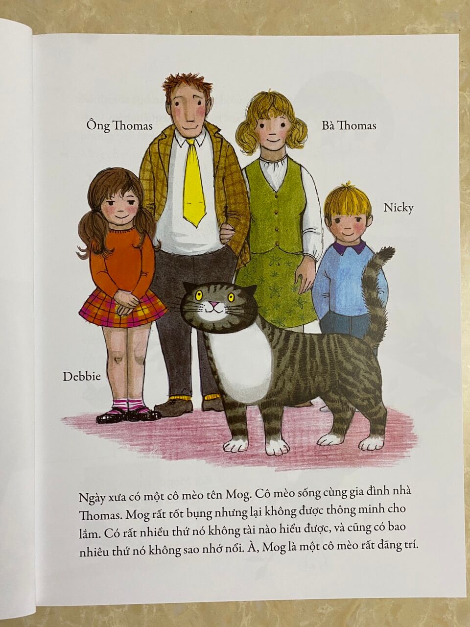 Combo 05 cuốn: Mèo Mog Mập