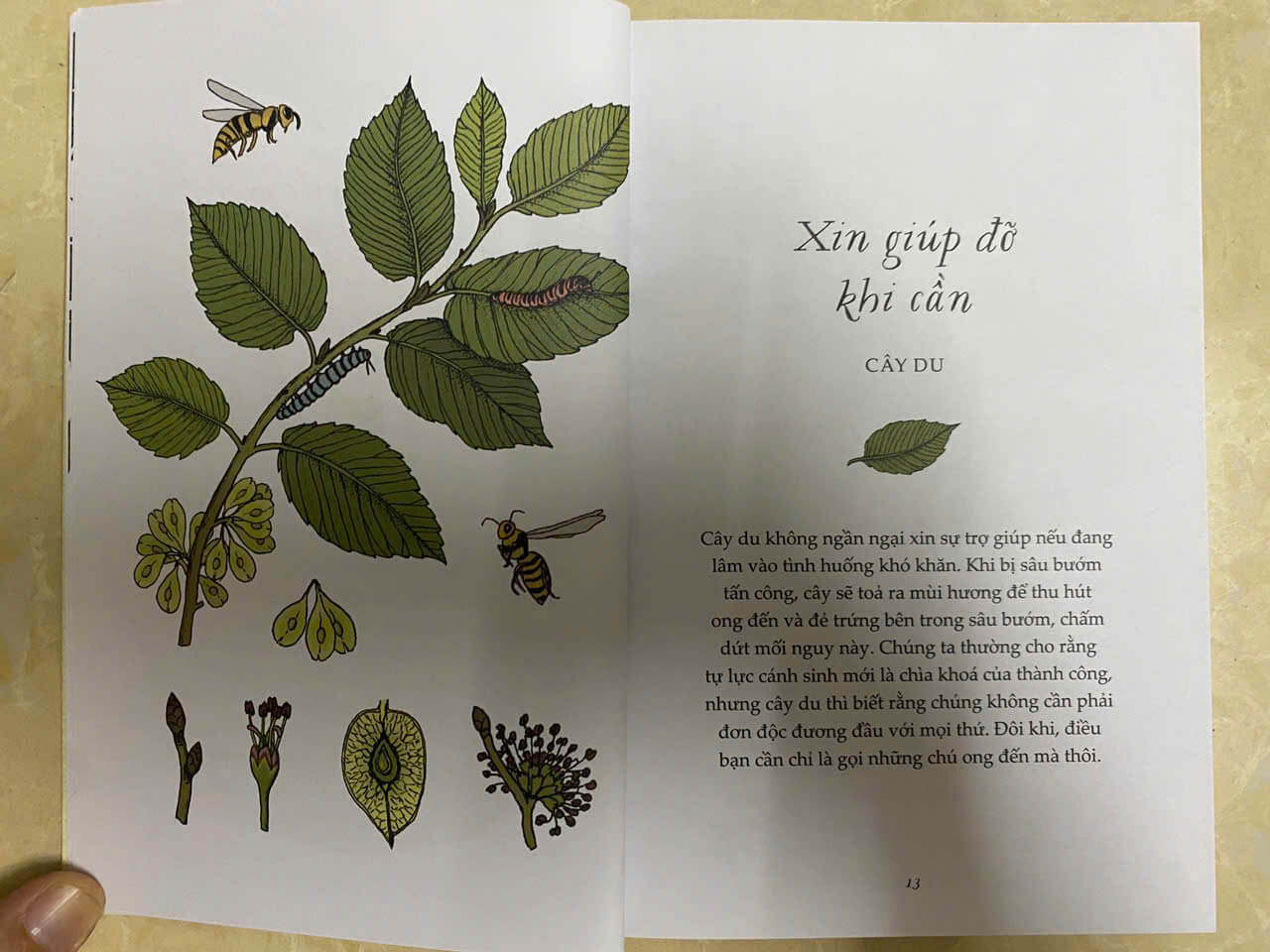 Sách - Combo những bài học nhỏ từ thiên nhiên (4 cuốn)