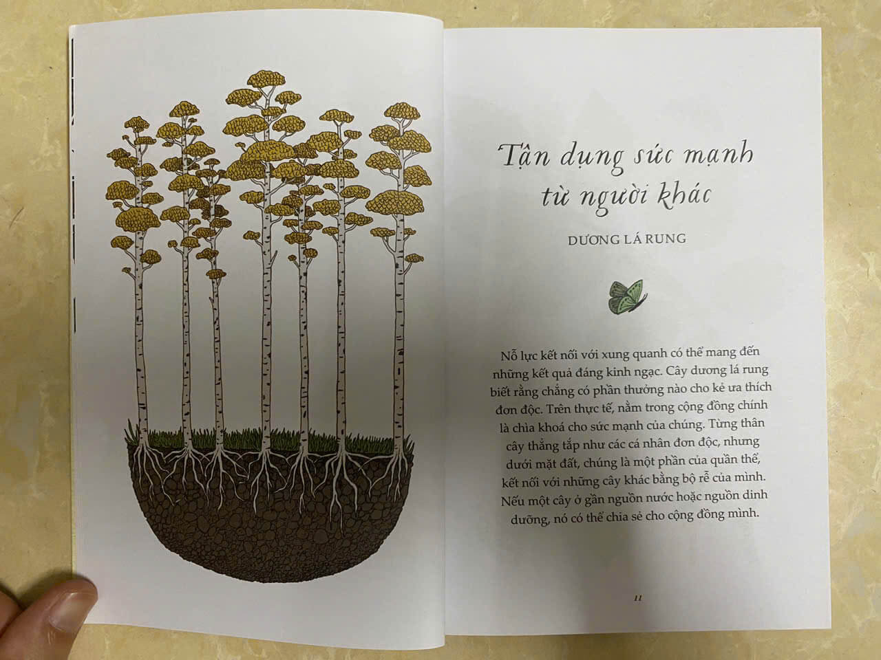 Sách - Combo những bài học nhỏ từ thiên nhiên (4 cuốn)