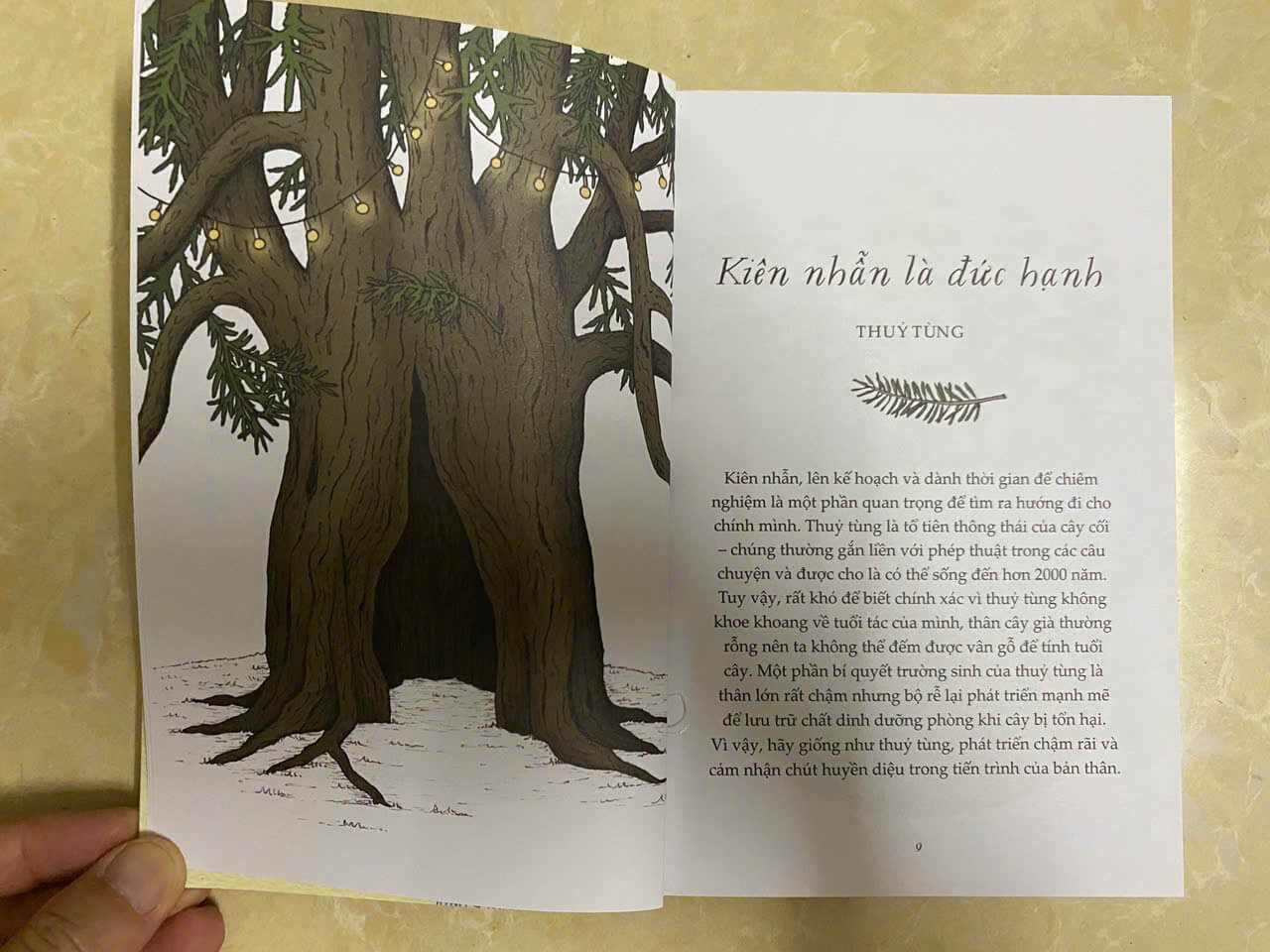 Sách - Combo những bài học nhỏ từ thiên nhiên (4 cuốn)