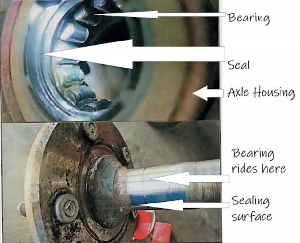 Phân biệt rò dầu do Oil Seal và do vòng bi – Cách kiểm tra