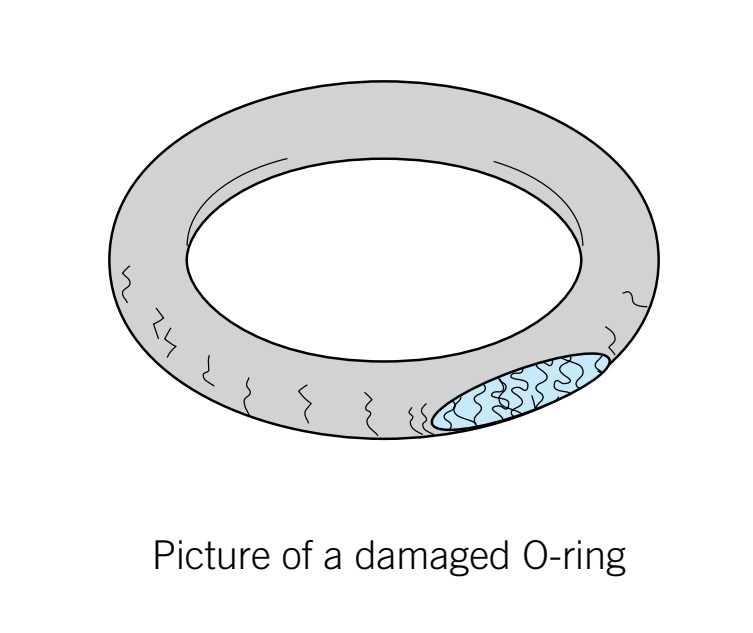 O-ring bị cắt sau vài ngày sử dụng