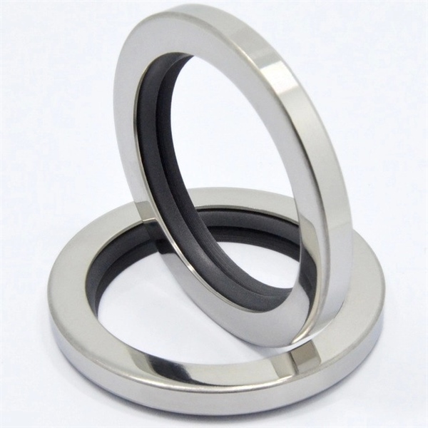 Rotary Pressure Seal phớt quay chịu áp Sealtech Vietnam