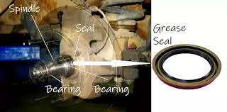 Kiểm tra vị trí rò dầu quanh Oil Seal và vòng bi