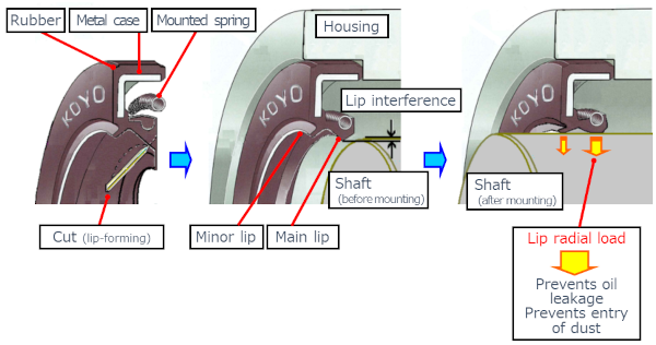Thay vòng bi và Oil Seal theo đúng thứ tự sửa chữa