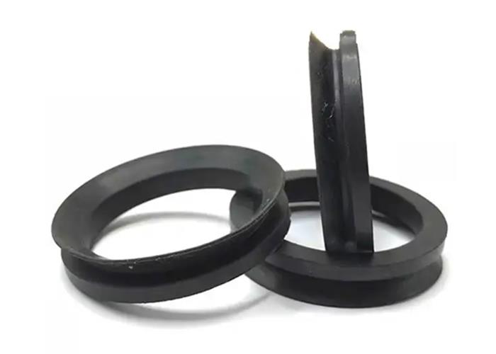 V-Ring VAX V-Ring Type AX cho trục quay tải cao