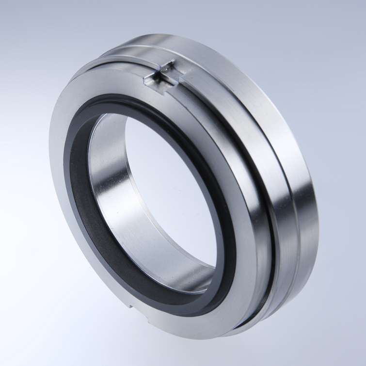 Mechanical Seal H10