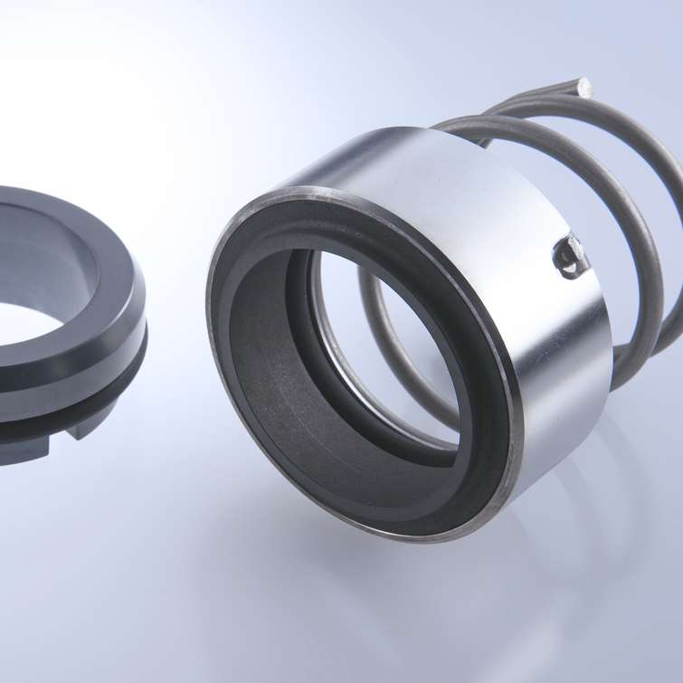 Mechanical Seal H12N