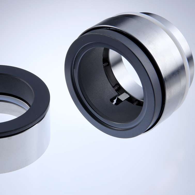 Mechanical Seal HRN