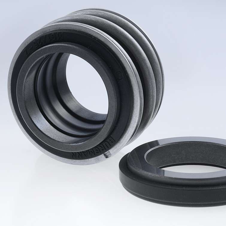 Mechanical Seal MG1-100/G6