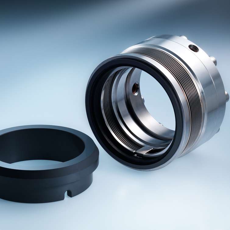 Mechanical Seal MFLWT