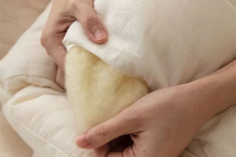 Chăn Đũi Đậu Nành Là Gì? Dòng Chăn Này Có Thực Sự Tốt Như Lời Quảng Cáo?