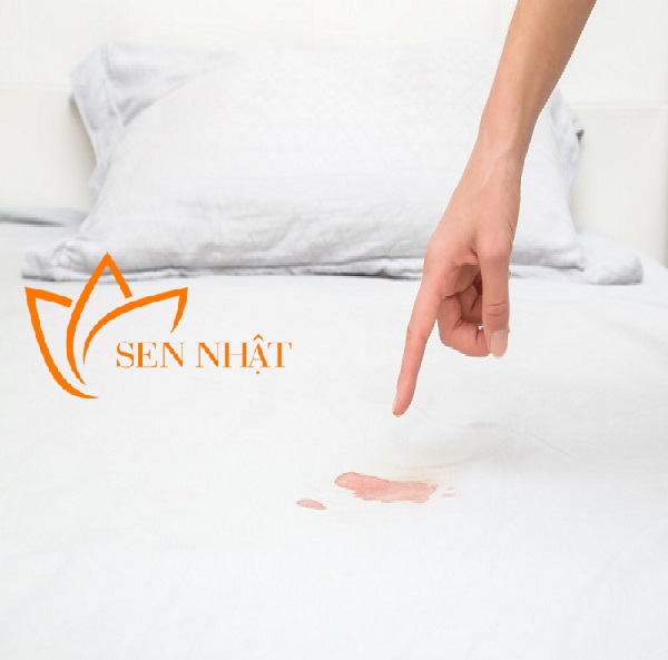 Một số mẹo giúp tẩy vết máu trên ga giường đơn giản và hiệu quả