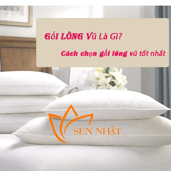 Những tiêu chí chọn một chiếc gối lông vũ tốt cho bạn