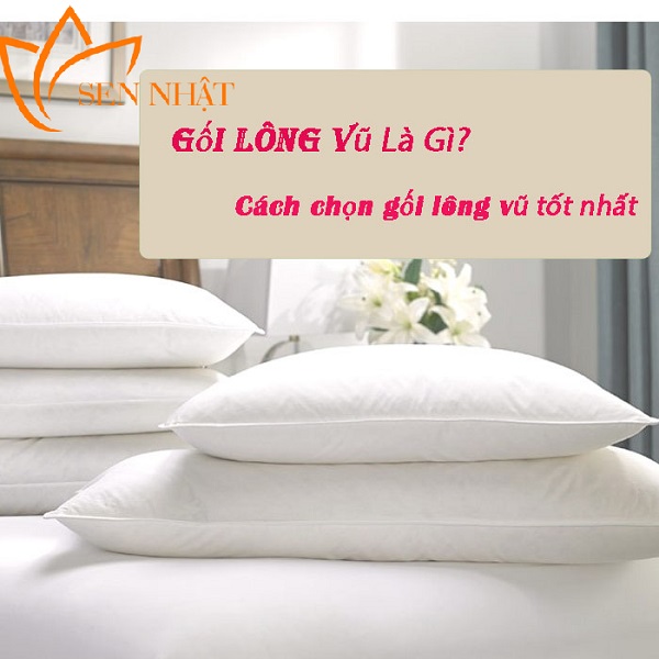 Gối lông vũ là gì? Bật mí cách chọn gối lông vũ tốt nhất