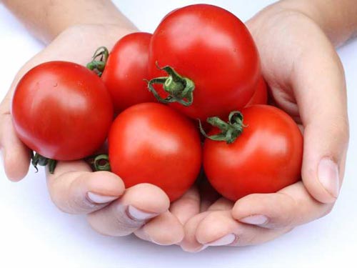 Ăn cà chua ngăn ngừa đột quỵ