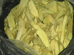 Không sử dụng cây “xáo tam phân” chữa bệnh gan