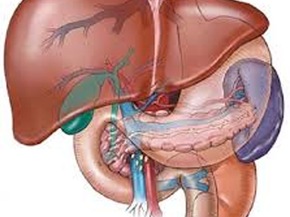 Đừng ép gan tuyệt thực