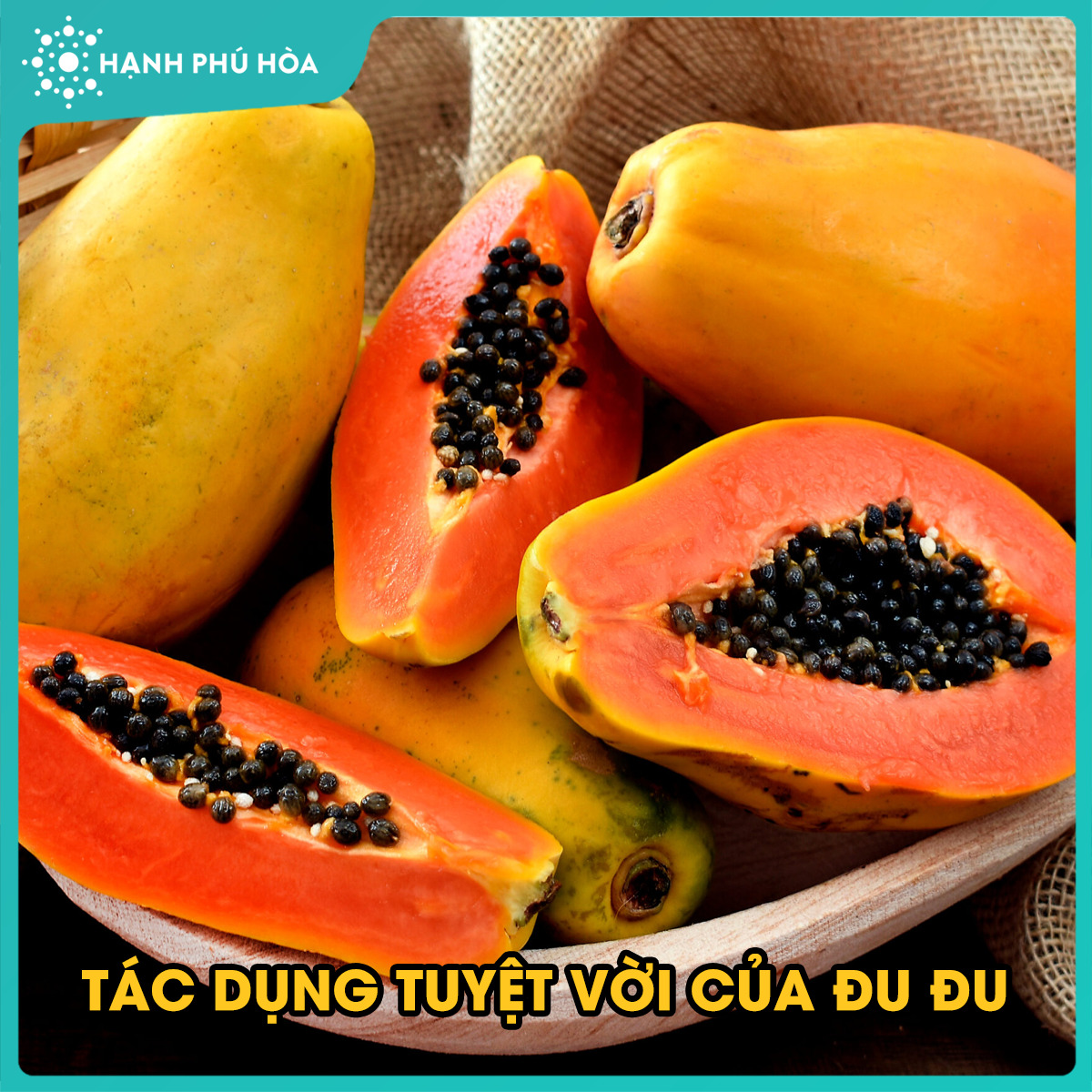 11 TÁC DỤNG TUYỆT VỜI CỦA ĐU ĐU