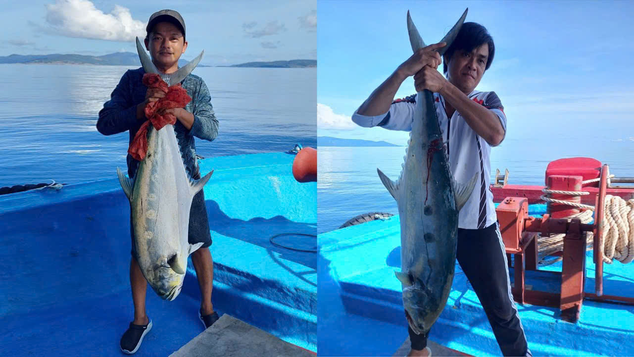tour câu cá vung tàu