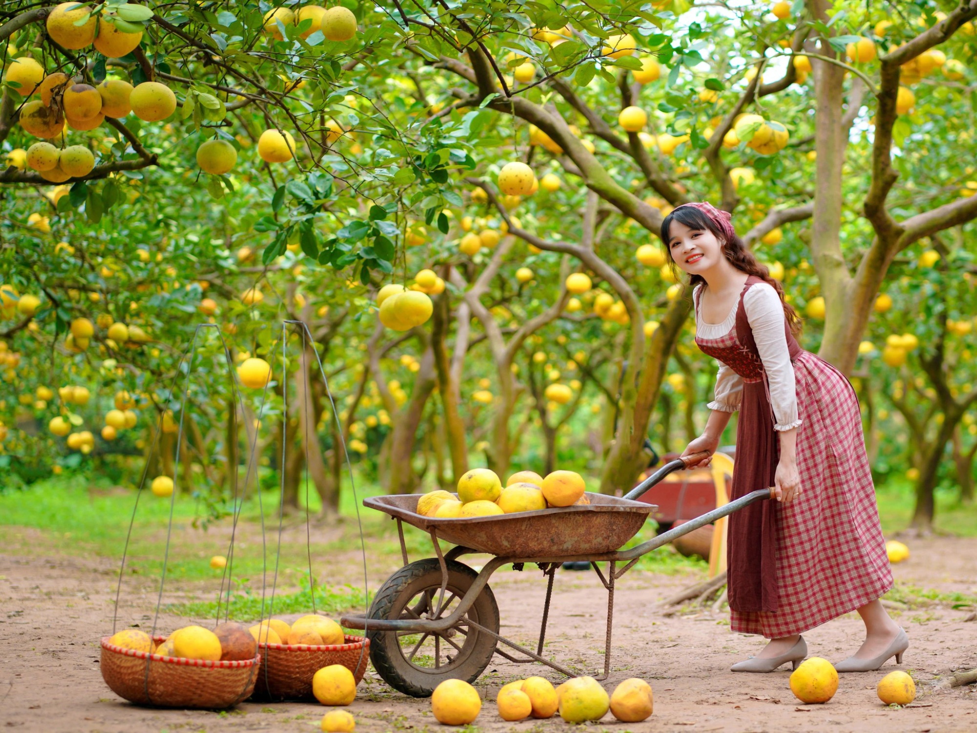 Tour Cần Thơ sóc trăng Cà Mau