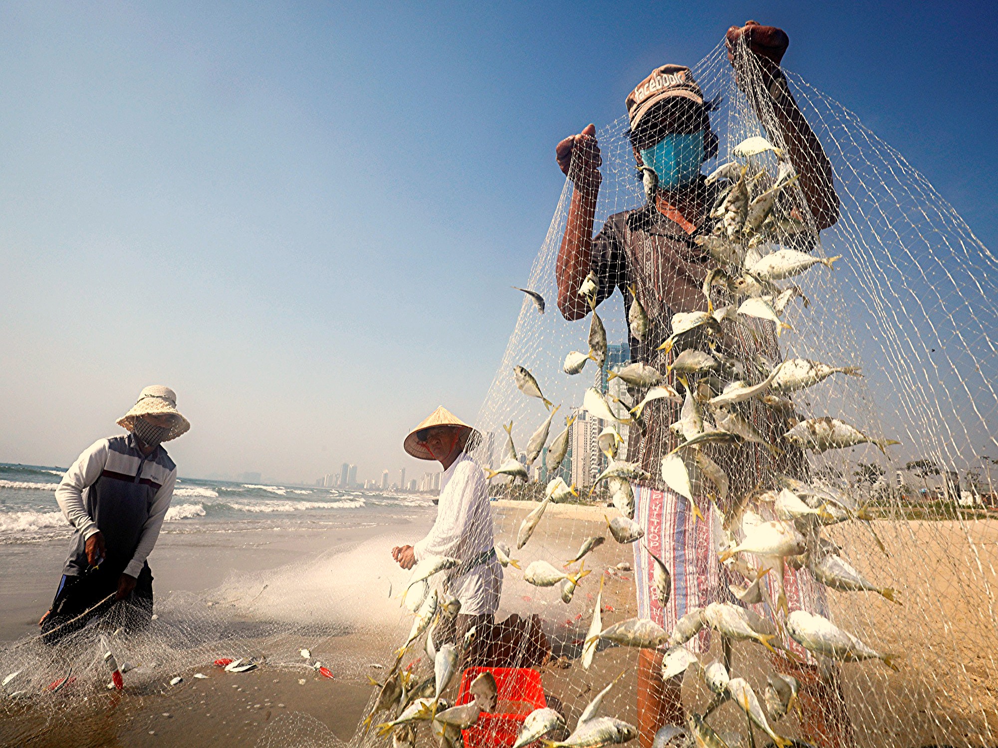 tour vũng tàu giá rẻ