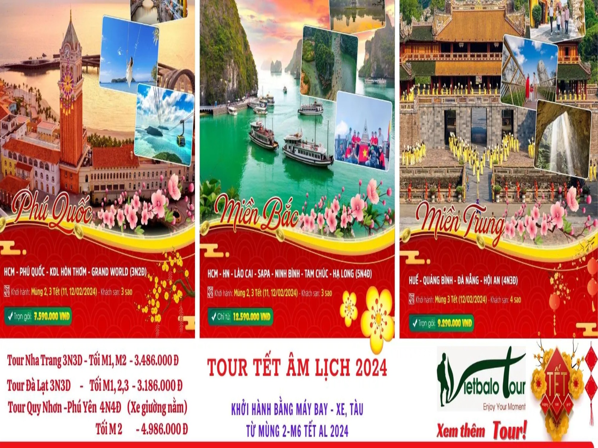 Tour tết 2024