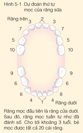 Trẻ ăn không đều bữa, kén ăn, vừa ăn vừa chơi