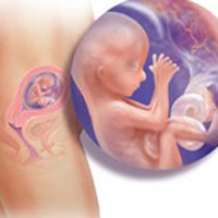 Chăm sóc rốn cho trẻ - Những điều cần biết ...?