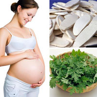 9 dược liệu Đông y có lợi cho bà bầu.
