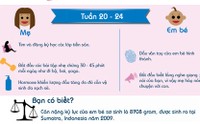 Những thông tin thú vị về 9 tháng mang thai