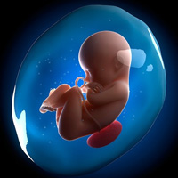 Mẹ đã hiểu gì về nước ối?