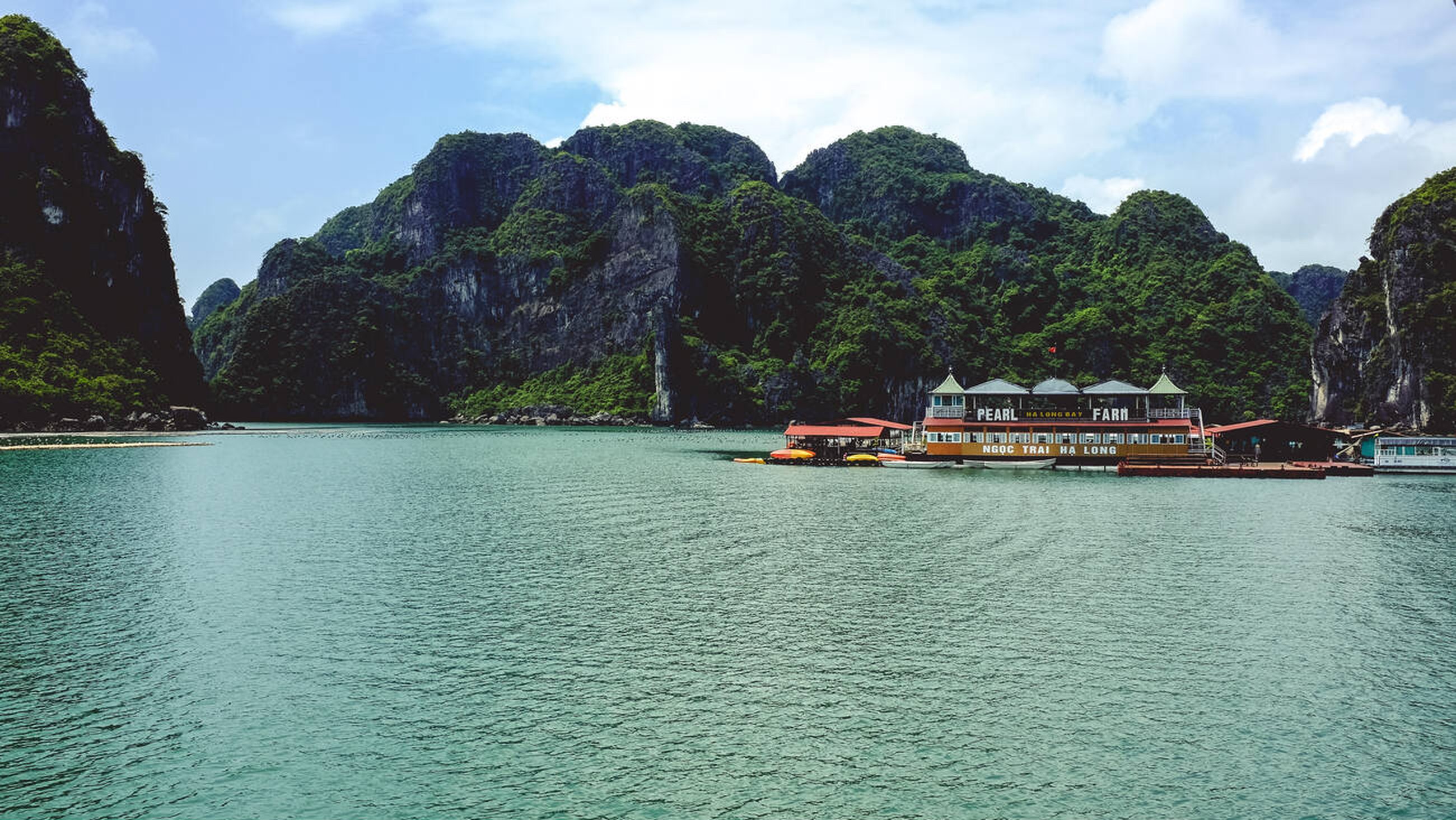Ngọc trai Hạ Long – Biểu tượng tiên phong của ngành ngọc trai Việt