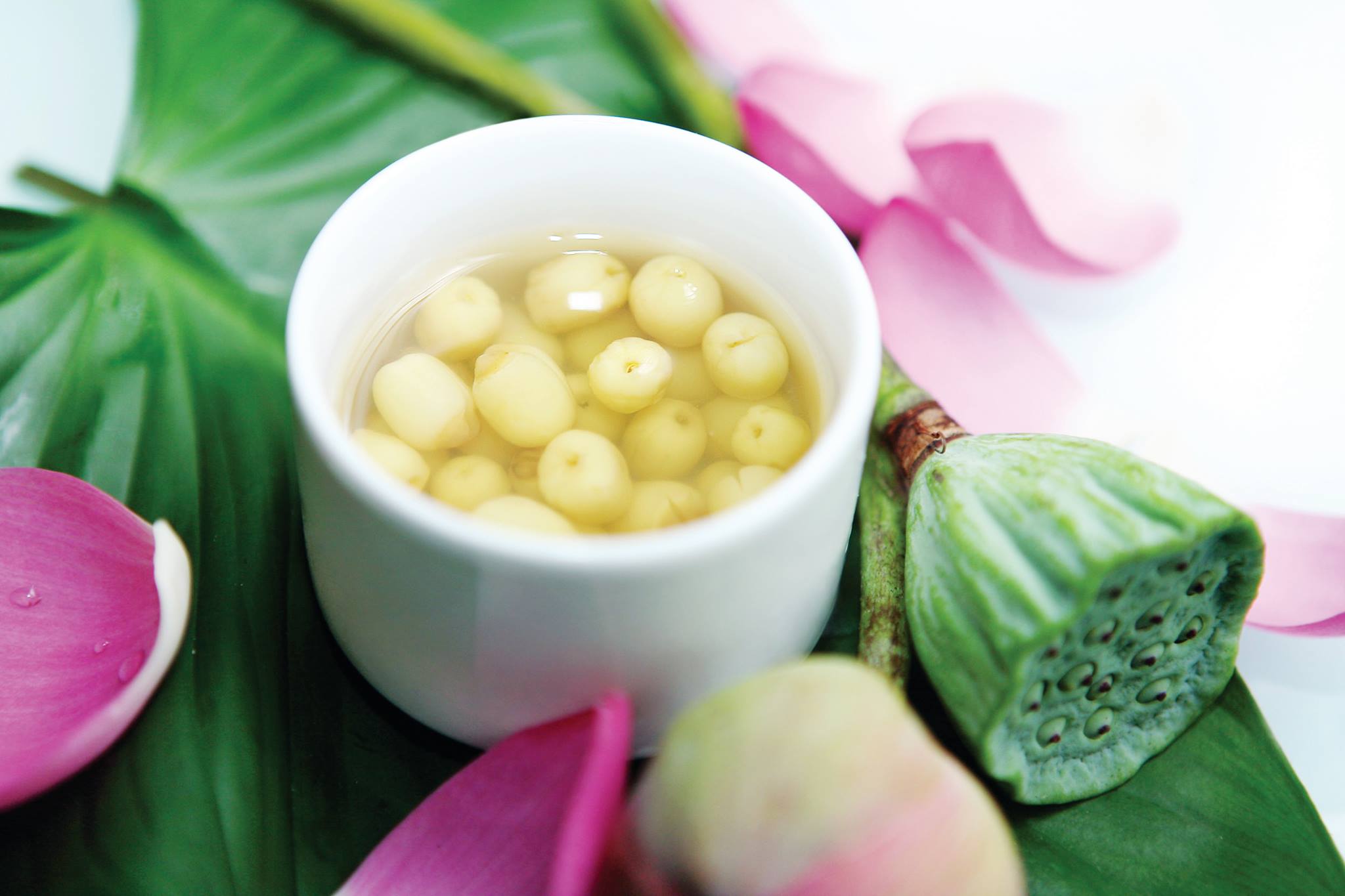 Vận Chuyển Chè Sen Từ Huế Đi Quảng Ninh Nhanh Chóng – An Toàn – Tiết Kiệm Vận Chuyển Chè Sen Từ Huế Đi Quảng Ninh Nhanh Chóng – An Toàn – Tiết Kiệm