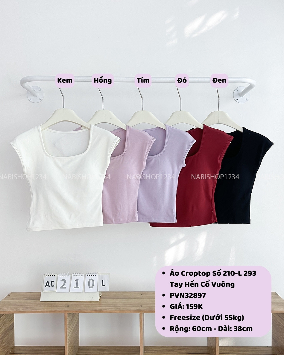 Áo Croptop Số 210-L 293 Tay Hến Cổ Vuông