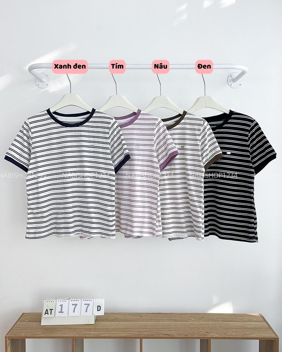Áo Thun Số 177-D 1299 TN Sọc Tag