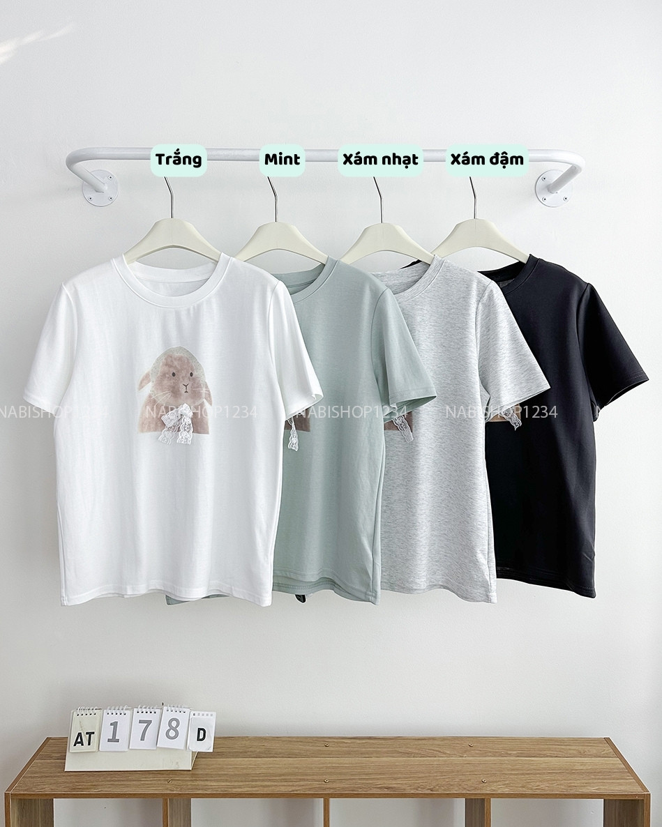 Áo Thun Số 178-D 6648 TN Thỏ Nơ Ren