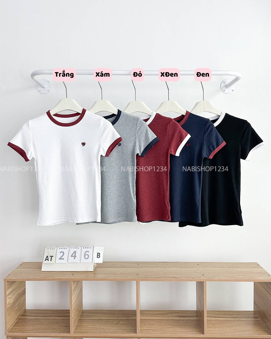 Áo Thun Số 246-B 5098 TN Gân Viền