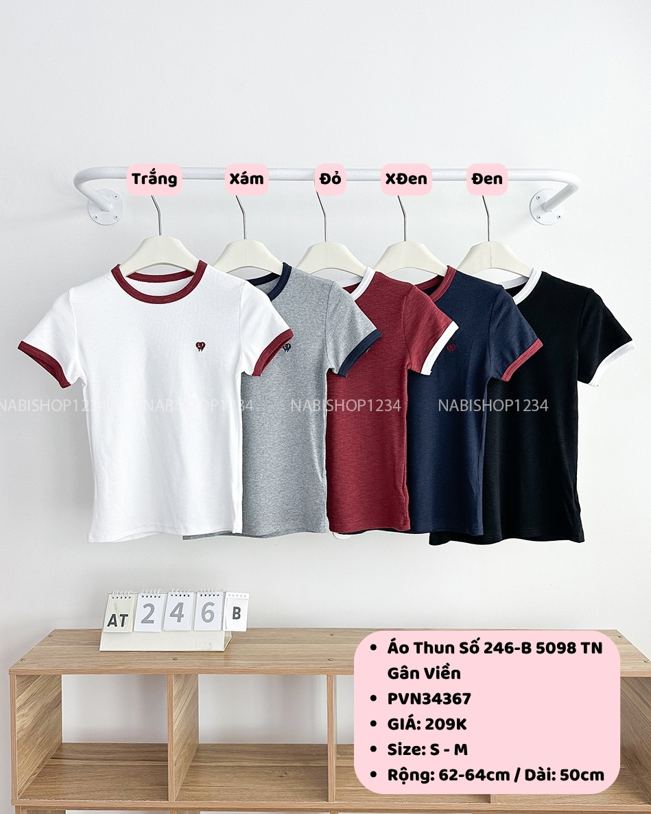 Áo Thun Số 246-B 5098 TN Gân Viền