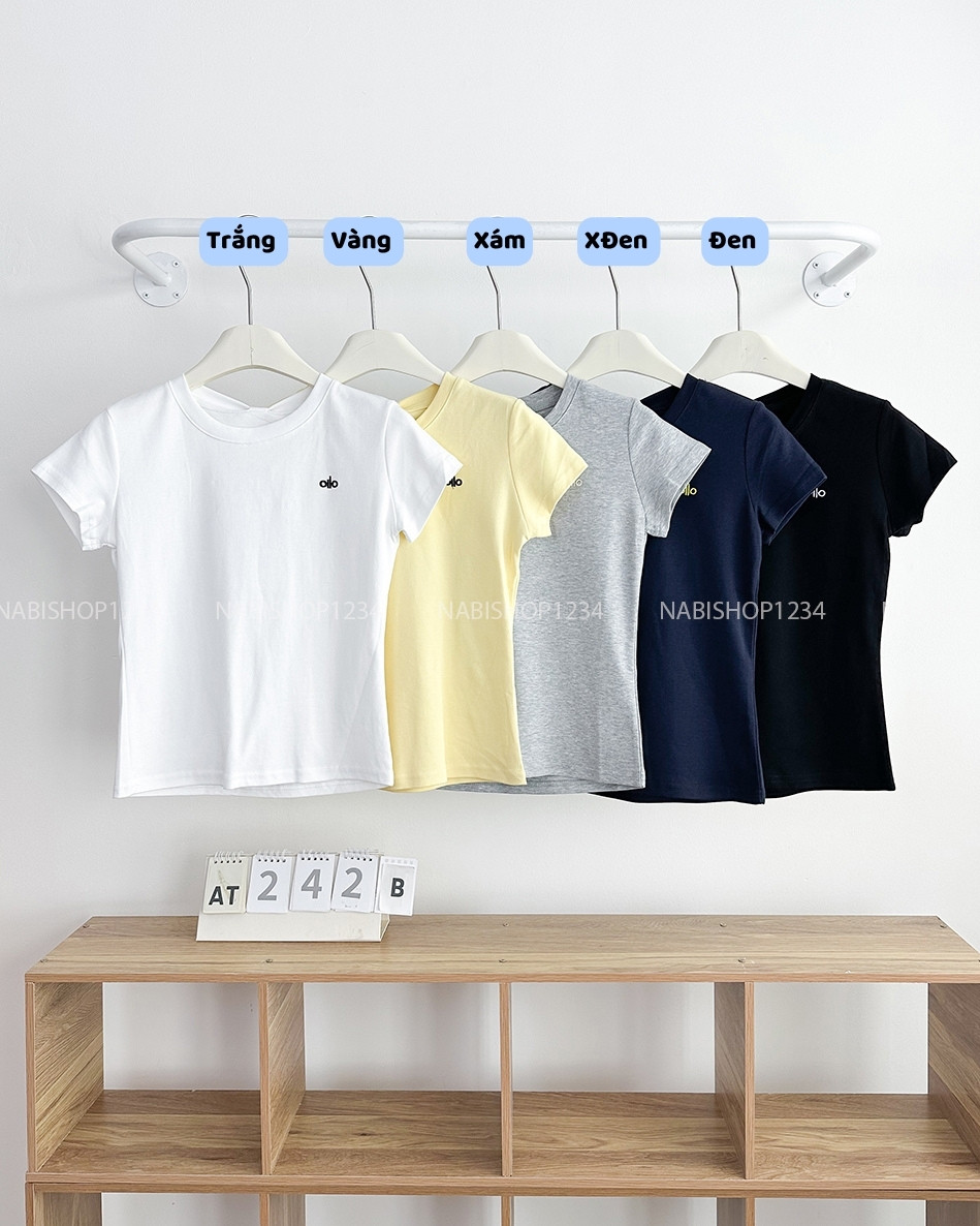 Áo Thun Số 242-B 5411 TN Thêu Alo
