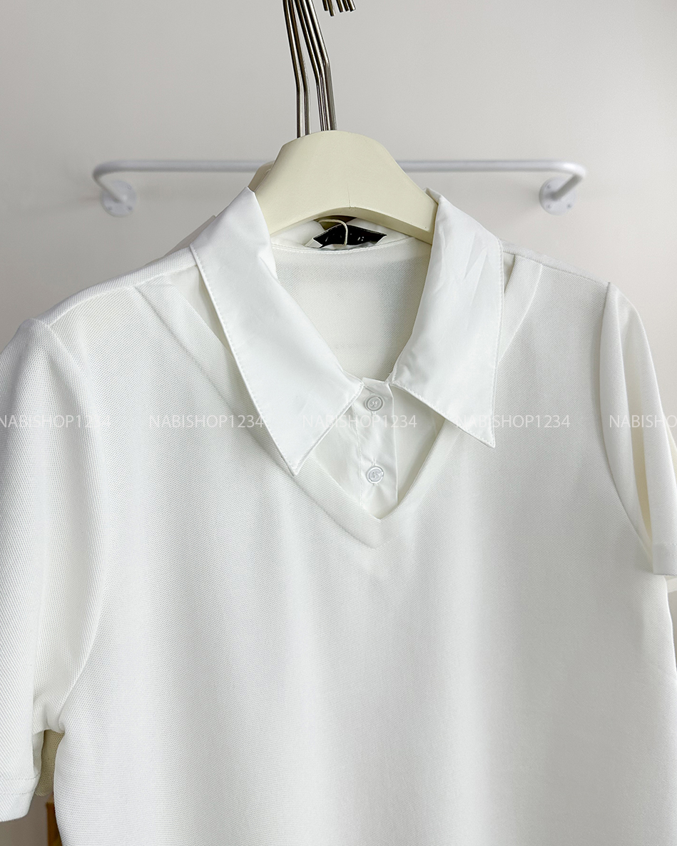 Áo Thun Số 110-M 3576 Polo Cổ Phối
