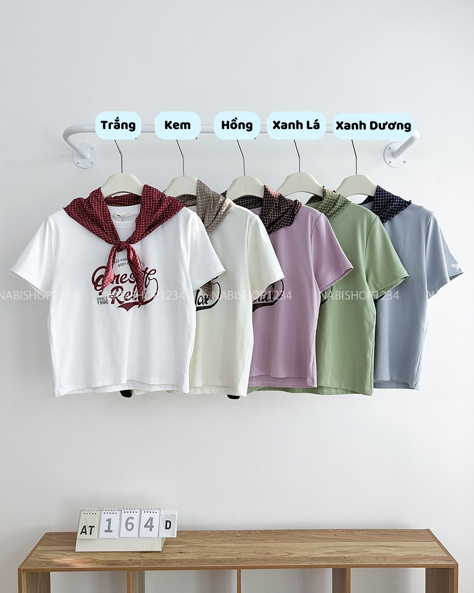 Áo Thun Số 164-D 2023 TN Qneset + Khăn