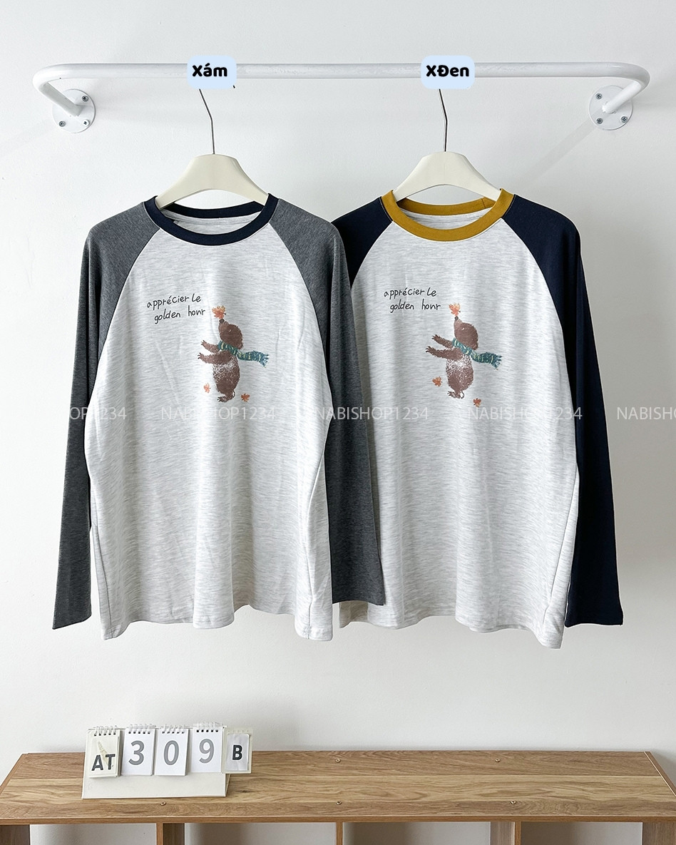 (G30K) Áo Thun Số 309-B Oversize TD Raglan Gấu