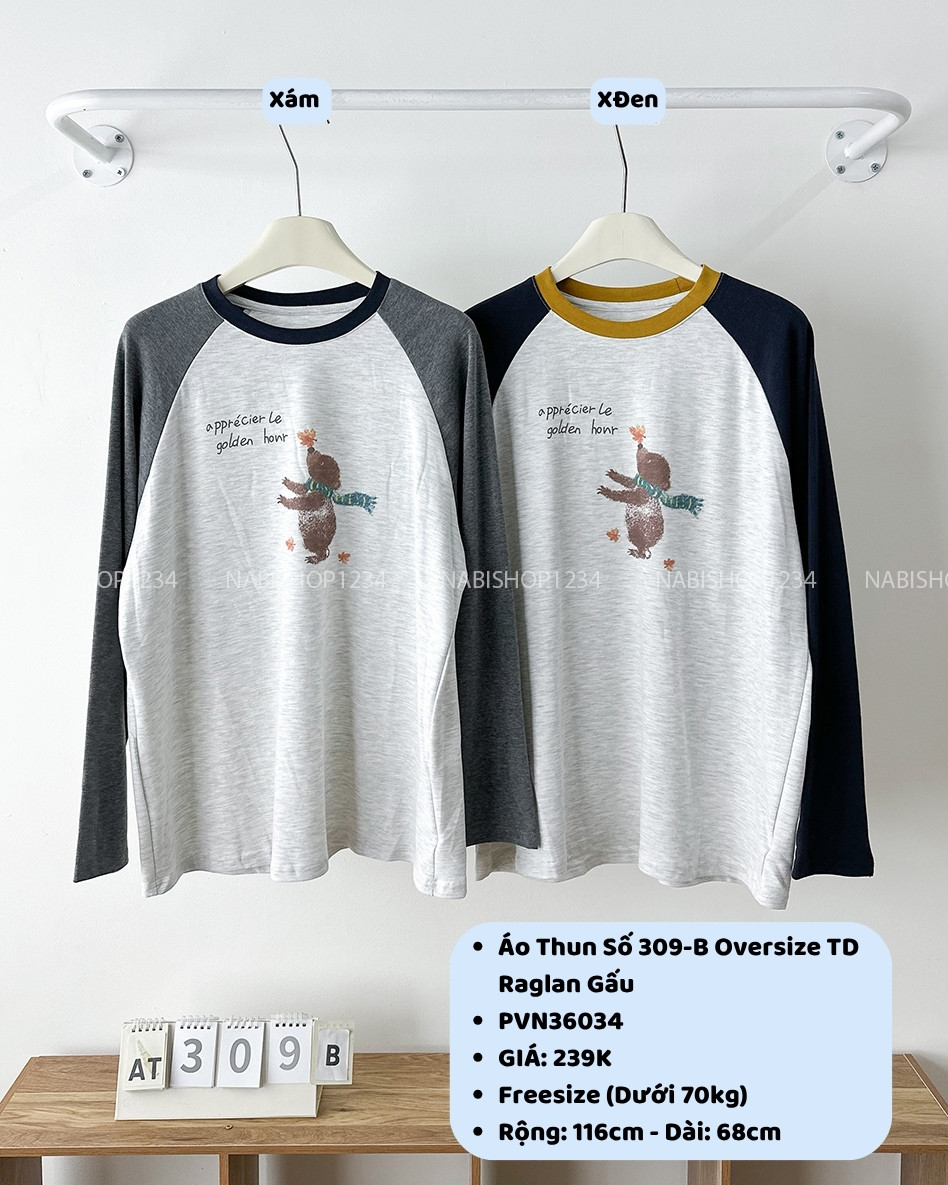 (G30K) Áo Thun Số 309-B Oversize TD Raglan Gấu