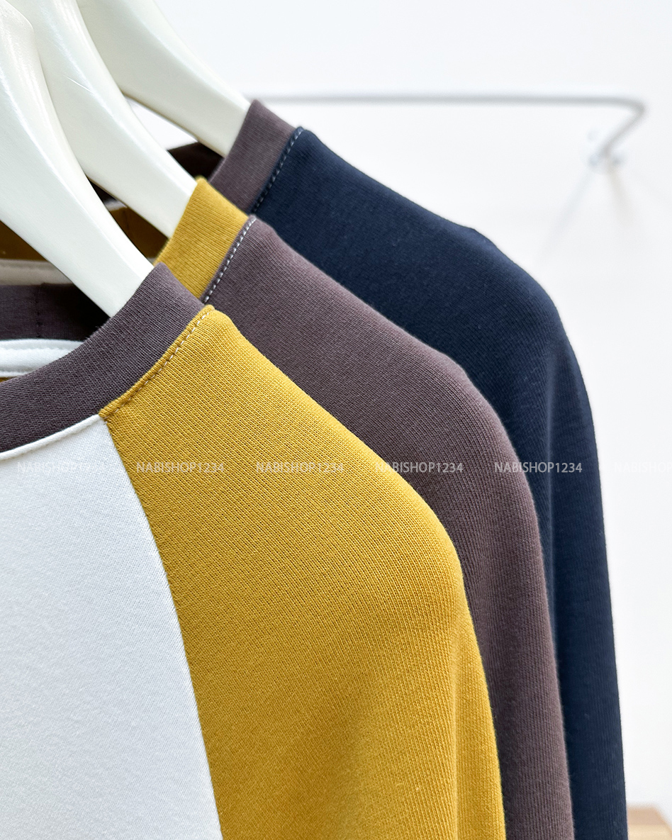 Áo Thun Số 344-D 2501 TD Raglan Gấu 2 Mặt