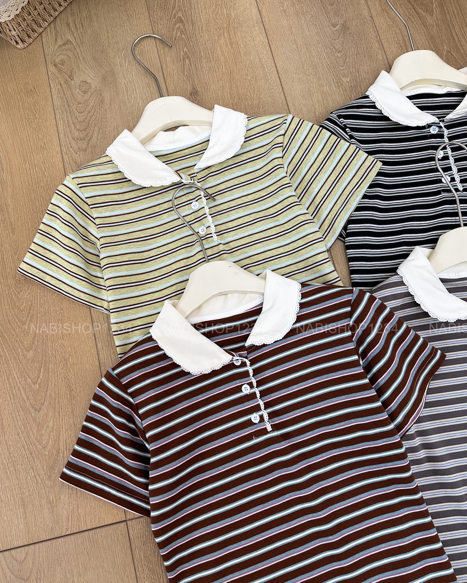 Áo Thun Số 400-D 1829 TN Polo Ren Kẻ