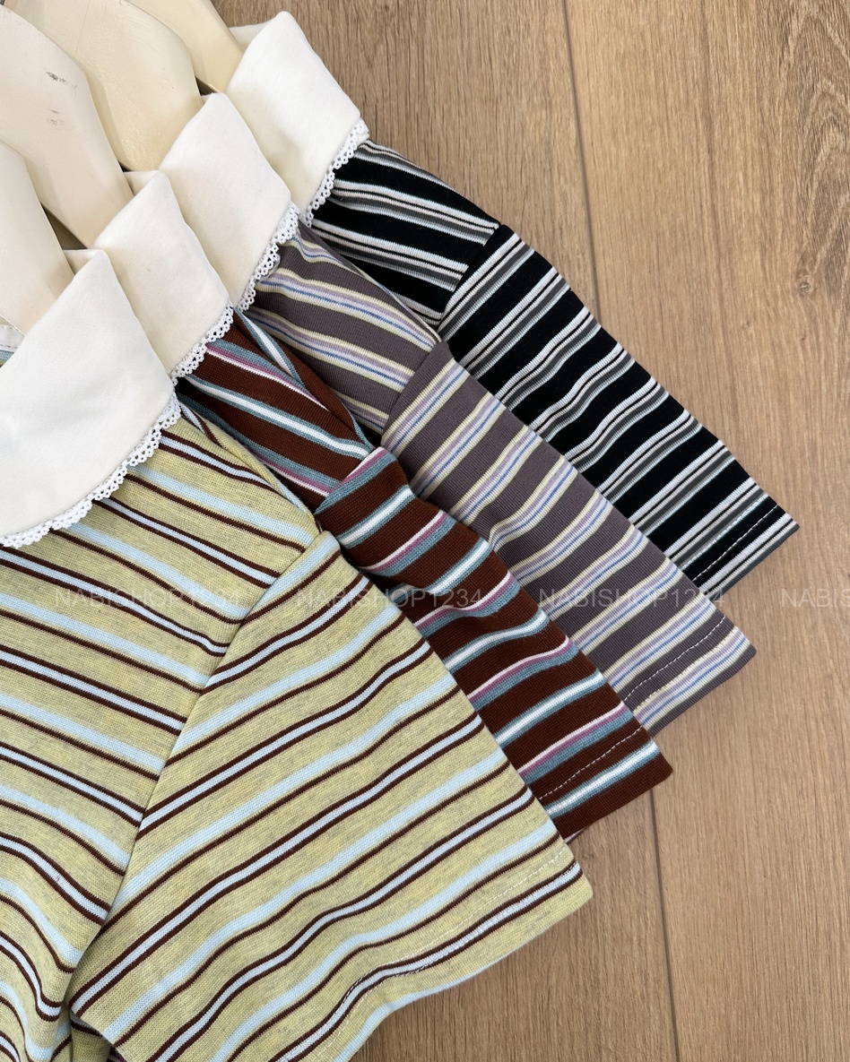 Áo Thun Số 400-D 1829 TN Polo Ren Kẻ