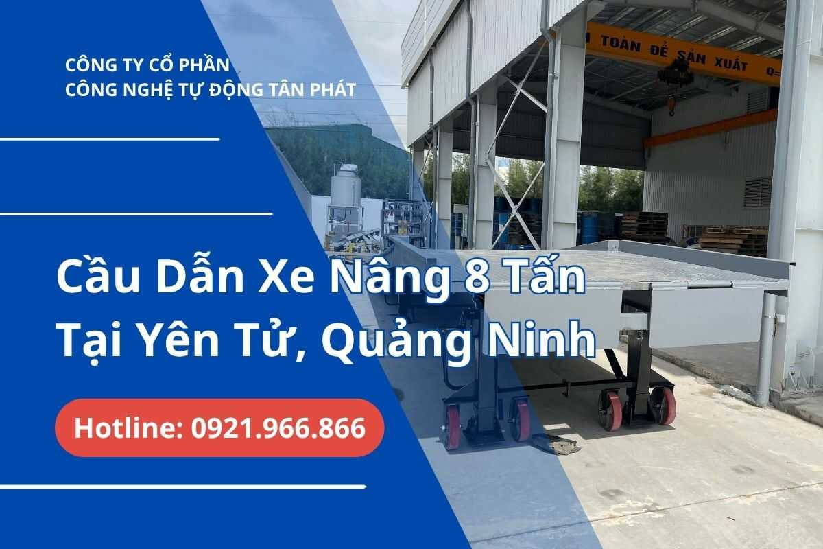 lap-dat-va-ban-giao-cau-dan-xe-nang-8-tan-quang-ninh