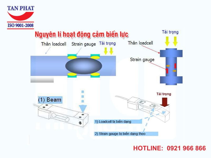 Cấu tạo, nguyên lý hoạt động cảm biến lực là gì?