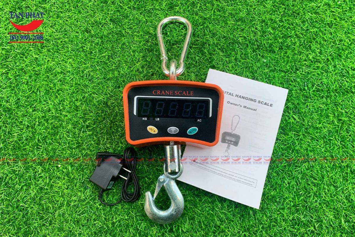 can-treo-500kg-crane-scale